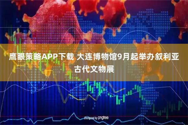 鹰眼策略APP下载 大连博物馆9月起举办叙利亚古代文物展