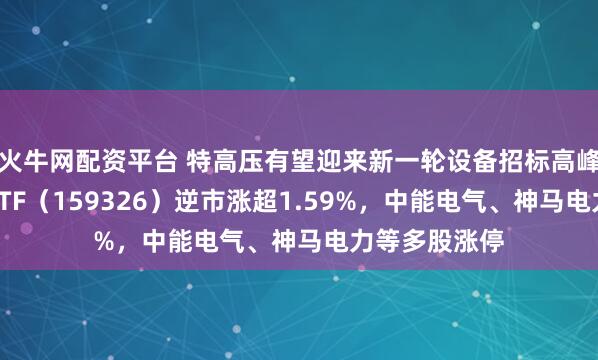 火牛网配资平台 特高压有望迎来新一轮设备招标高峰，电网设备ETF（159326）逆市涨超1.59%，中能电气、神马电力等多股涨停